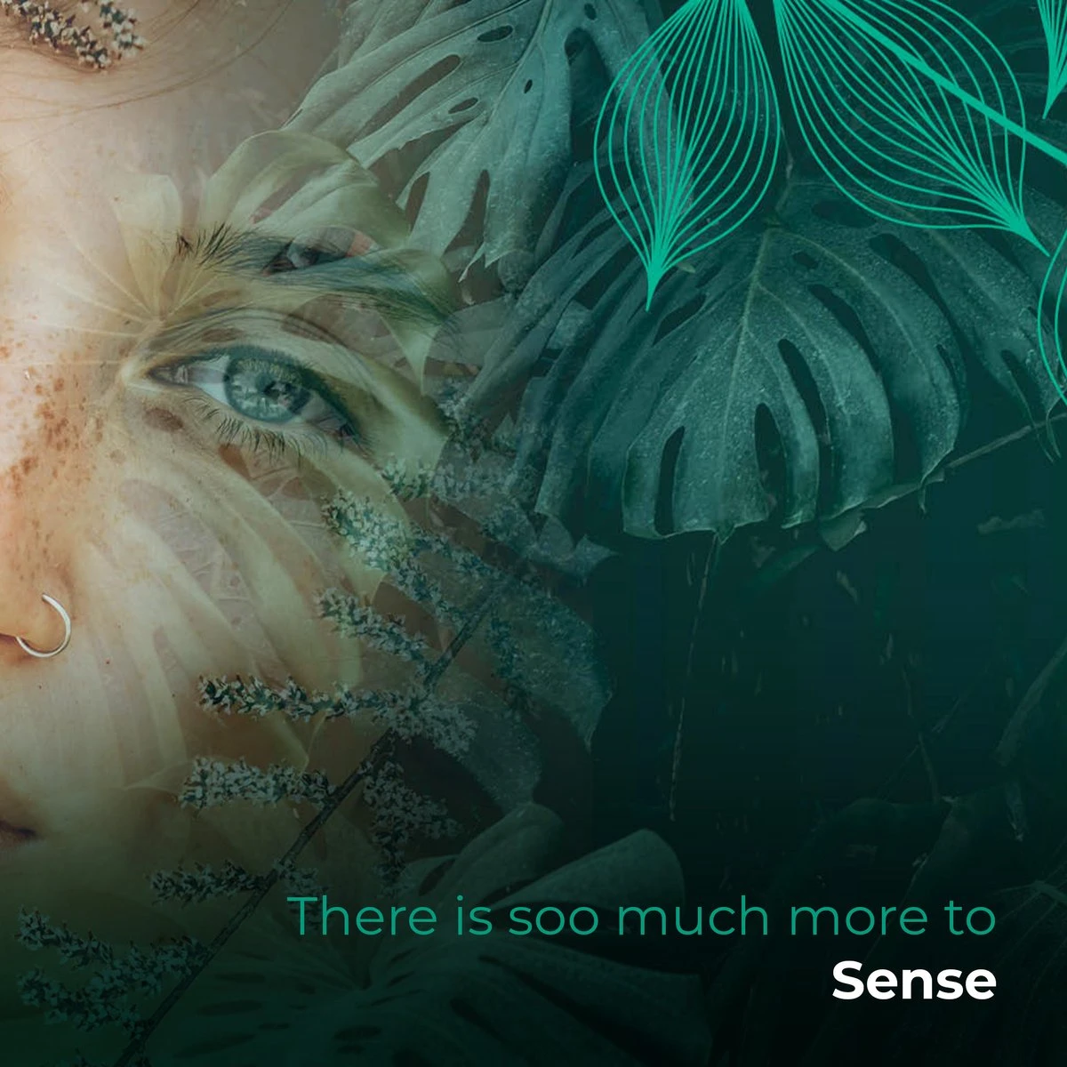 Soolong Sense Oost Timor Nr1000 Koffiebonen Smooth Lacau - Speciality Koffie Arabica Medium Roast Met Rijke Kruidige Smaak Met Heerlijke Ondertonen Van Karamel - Zak 250gram 2 Soolong Sense Oost Timor Nr1000 Koffiebonen Smooth Lacau - Speciality Koffie Arabica Medium Roast Met Rijke Kruidige Smaak Met Heerlijke Ondertonen Van Karamel - Zak 250gram - Afbeelding 2